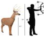 Delta McKenzie Big Daddy Deer X-Ray Series Buck 3D Target - AR Enabled Whitetail Archery Target
