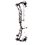 Elite Exalt LD compound bow, featuring the SP cam system, V3 Mods, and S.E.T. technology for peak performance and customizable settings.
Midnight Copper