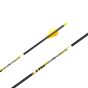 Carbon Express D-Stroyer SD Carbon Arrows with Dual Spine Weight Forward technology for maximum accuracy and greater penetration.
