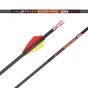 Carbon Express Nano Pro RZ Arrow Shafts with Red Zone Technology and 46-ton carbon for long-distance accuracy and durability.

