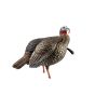 Avian-X HDR Jake Turkey Decoy with realistic feather details and removable head designs for customizable setups.
