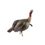 Avian-X HDR Jake Turkey Decoy with realistic feather details and removable head designs for customizable setups.
