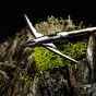 Beast 2.0 Stainless Steel Broadheads – 3 Pack with Bone-Evading Blade Technology
