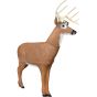 Delta McKenzie Big Daddy Deer X-Ray Series Buck 3D Target - AR Enabled Whitetail Archery Target
