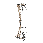 Mathews Lift XD compound bow, featuring Limb Shift™ Technology and ARC7™ Limb Technology for high-speed performance and precision for long-draw archers. Earth