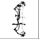 Diamond Edge XT Compound Bow featuring adjustable draw weight and length, high-speed performance, and premium accuracy.

