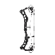 Elite Carbon EON compound bow, featuring lightweight design, SP2 Cam system, and S.E.T. Technology for high-speed performance and precision.
