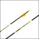 Carbon Express D-Stroyer SD Carbon Arrows with Dual Spine Weight Forward technology for maximum accuracy and greater penetration.
