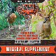 Rack Daddy Minerals - Mineral Supplement for healthy deer and improved antler growth.
