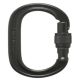 Black Diamond Oval Keylock Screwgate Carabiner 