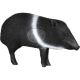 Delta McKenzie Javelina