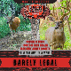 Rack Daddy Minerals - Barely Legal