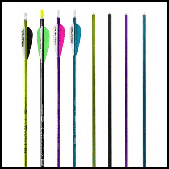 Easton Genesis Arrow – Official NASP Arrow Made from 7075 Aerospace Alloy, Available in Purple, Teal, and Silver

