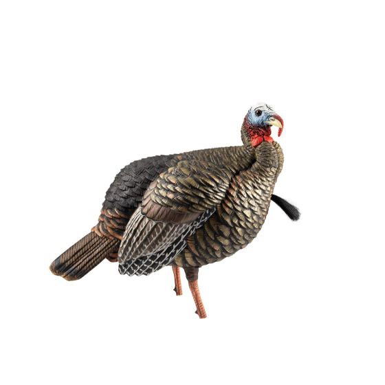 Avian-X HDR Jake Turkey Decoy with realistic feather details and removable head designs for customizable setups.
