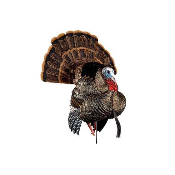 Avian-X HDR Strutter Turkey Decoy with adjustable fan and interchangeable heads
